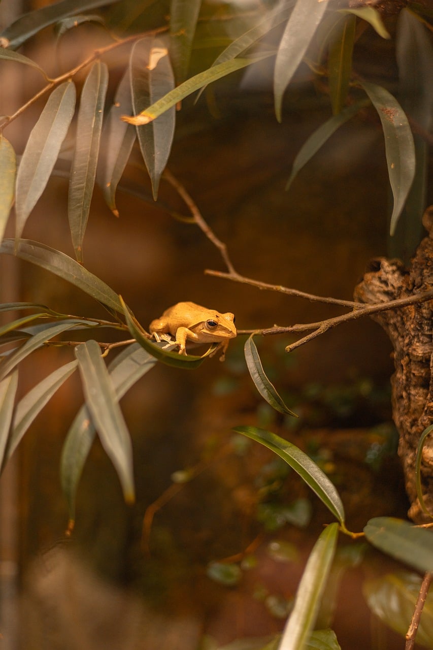 découvrez screaming frog seo spider 24.0, l'outil ultime pour analyser et optimiser le référencement de votre site web avec des fonctionnalités avancées et une interface améliorée.