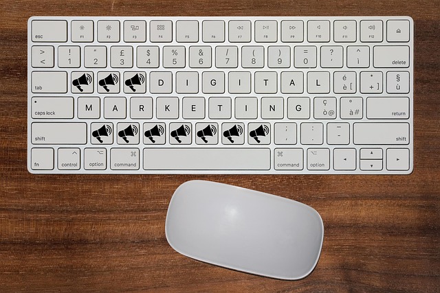 SEO et réseaux sociaux : un duo gagnant pour votre marketing