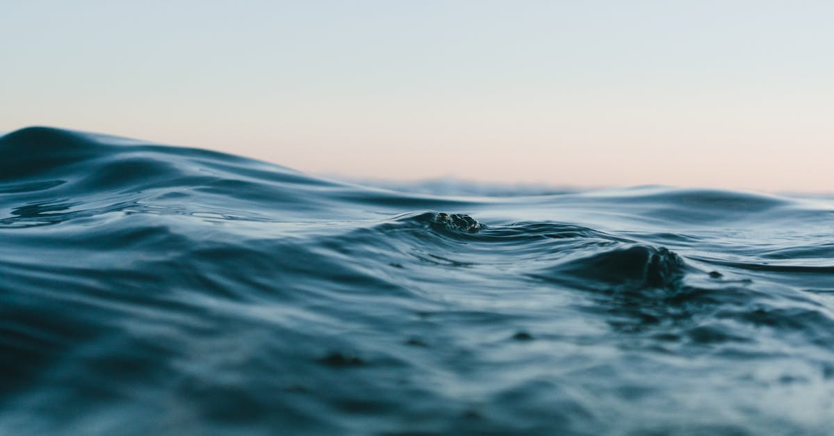 Comprendre le SEA pour booster votre visibilité en ligne