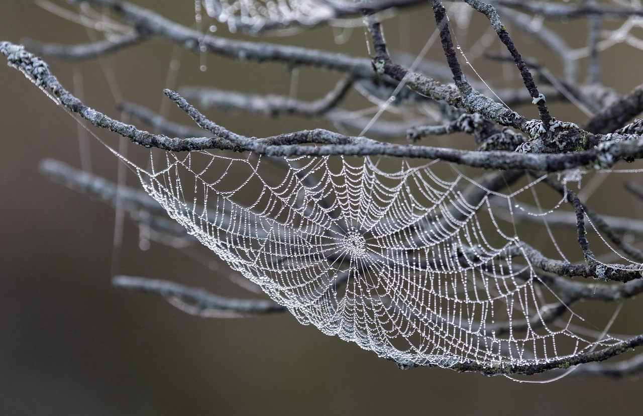 Core Web Vitals : découvrez les clés pour booster votre SEO en 2025