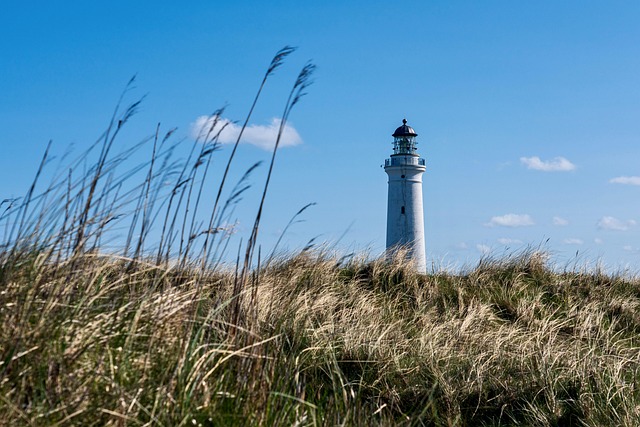 Le fichier llms.txt : inutile mais systématiquement vérifié par Lighthouse