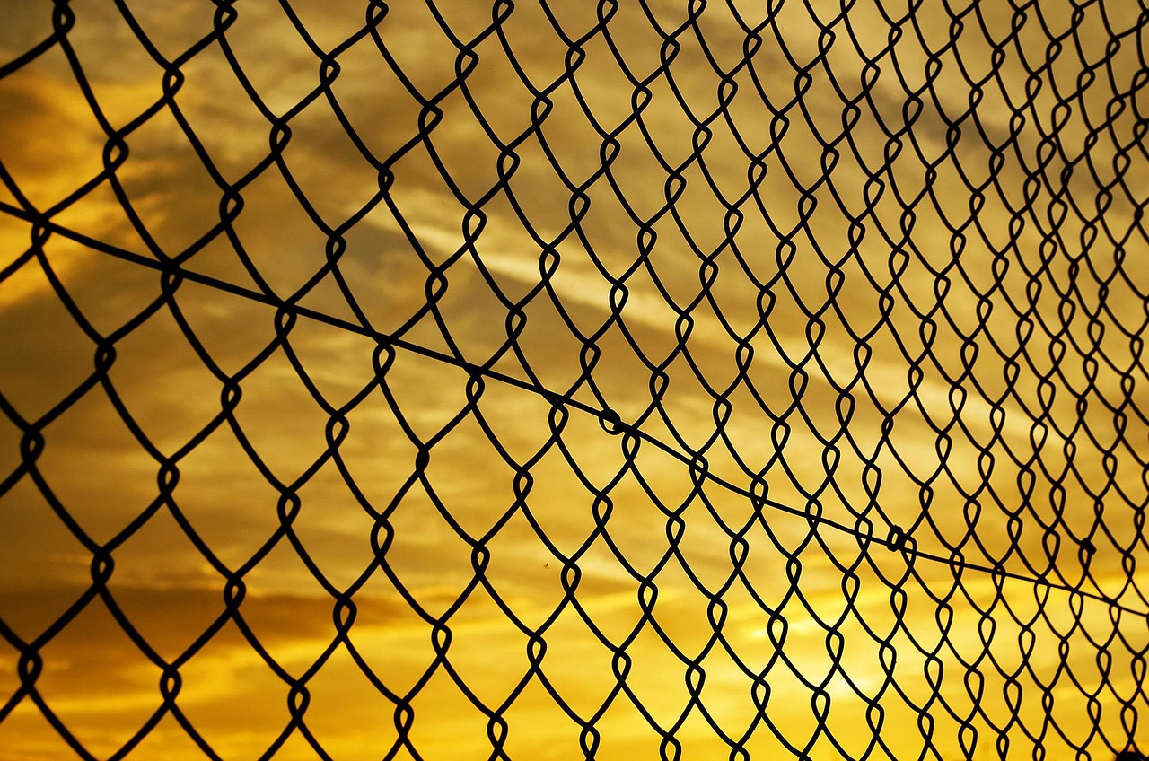 En 2025, près de 50 % des experts SEO se tournent vers l’achat de liens pour optimiser leur netlinking